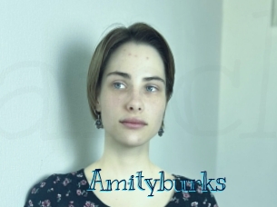 Amityburks