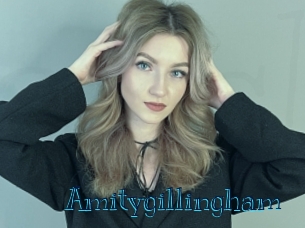amitygillingham Archive DVD BIZ