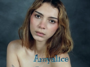 amyalice Archive DVD BIZ