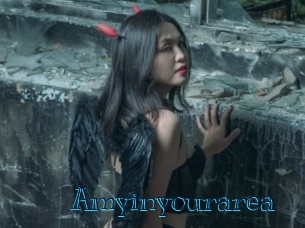 amyinyourarea Archive DVD BIZ