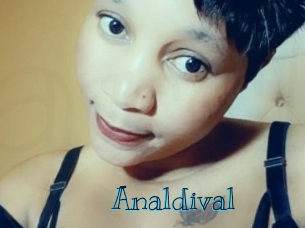 analdival Archive DVD BIZ