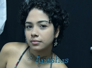 Anashus