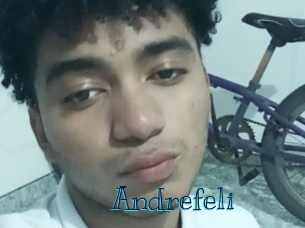 andrefeli Archive DVD BIZ