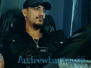 andrewbanner66 Archive DVD BIZ