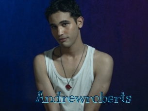 andrewroberts Archive DVD BIZ