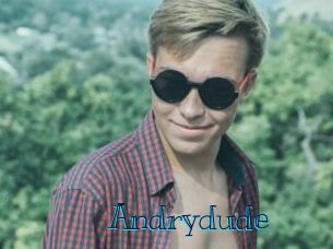Andrydude