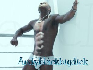 Andyblackbigdick