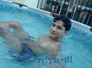 andysmitt Archive DVD BIZ