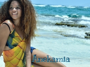 anekamia Archive DVD BIZ