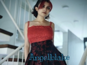 angelblake Archive DVD BIZ