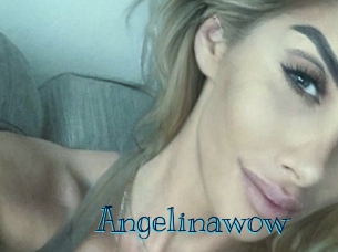 angelinawow Archive DVD BIZ