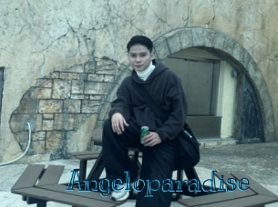 angeloparadise Archive DVD BIZ