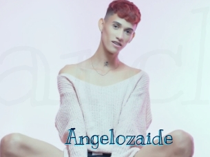 angelozaide Archive DVD BIZ