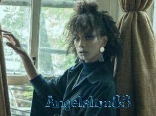 angelslim88 Archive DVD BIZ