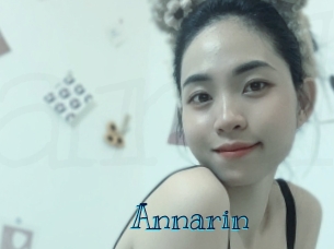 annarin Archive DVD BIZ