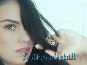 Anthonellahill