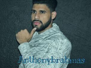 anthonybrahmas Archive DVD BIZ