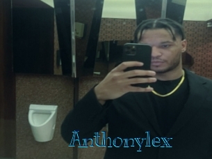 anthonylex Archive DVD BIZ