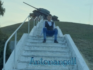 antonangell Archive DVD BIZ