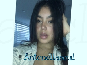 antonellasoul Archive DVD BIZ