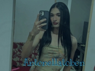 Antonellatobon