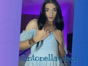antonellatobon Archive DVD BIZ