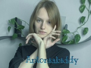 Antoniabiddy