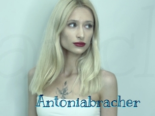 Antoniabracher