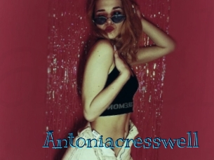 antoniacresswell Archive DVD BIZ