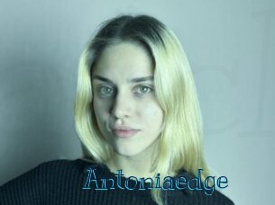 Antoniaedge