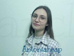 Antoniaheap