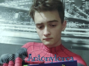 antonylorca Archive DVD BIZ