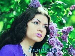 Anuttara