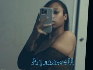 aquaawett Archive DVD BIZ