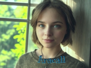 aracall Archive DVD BIZ