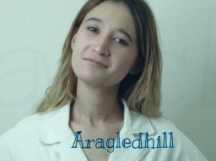 Aragledhill
