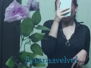 arianaavelvet Archive DVD BIZ