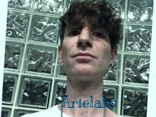 arielabs Archive DVD BIZ
