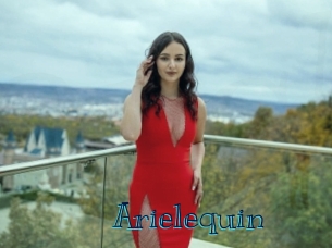 arielequin Archive DVD BIZ