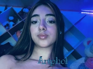 ariphol Archive DVD BIZ