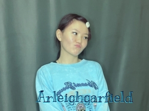 arleighgarfield Archive DVD BIZ