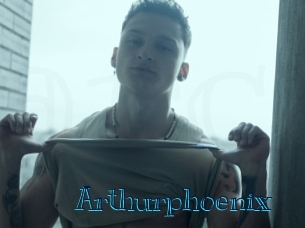 arthurphoenix Archive DVD BIZ