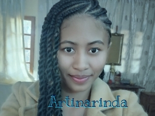 artinarinda Archive DVD BIZ