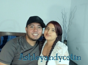 ashleyandyostin Archive DVD BIZ
