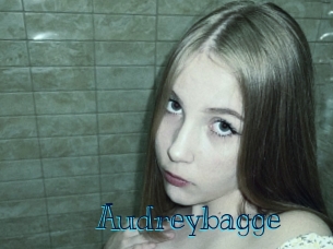 Audreybagge