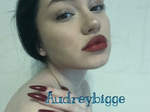 Audreybigge
