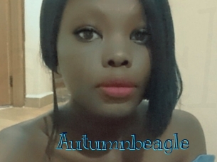 autumnbeagle Archive DVD BIZ