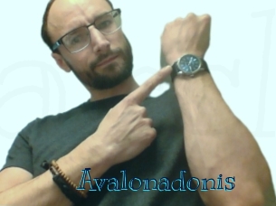 Avalonadonis