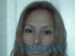 BANDACOOT