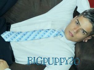 BIGPUPPY20